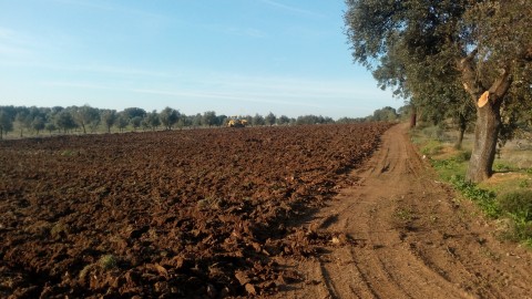 Preparao de Terrenos Agricolas